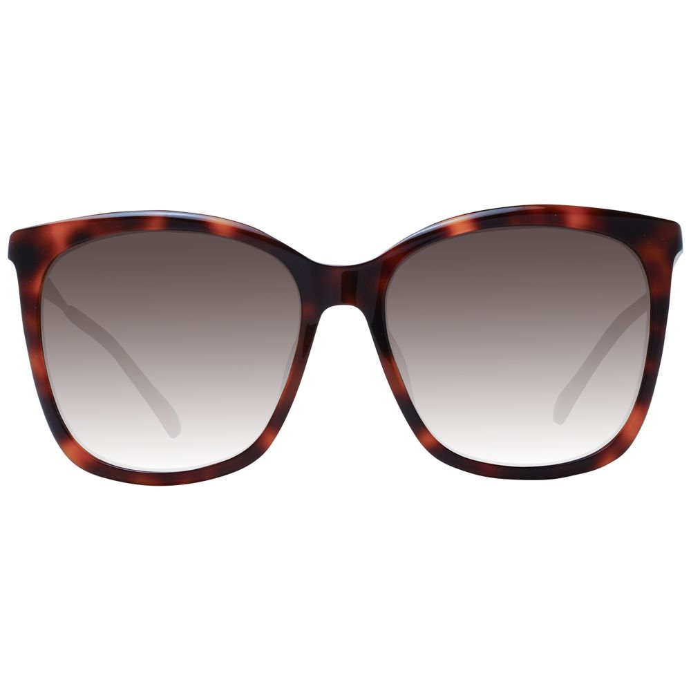 Lunettes de soleil Jimmy Choo marron pour femme