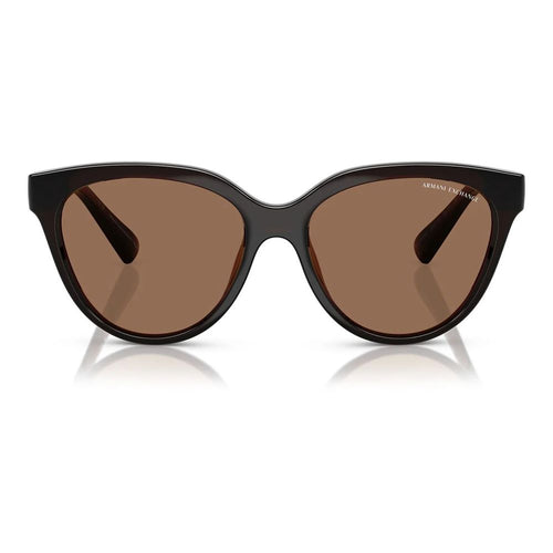 Armani Exchange Brown Injected Sunglasses