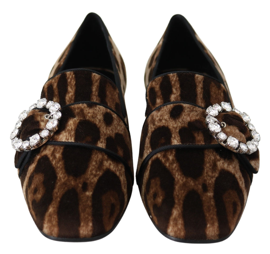 Mocassins plats Dolce &amp; Gabbana à imprimé léopard marron et cristaux