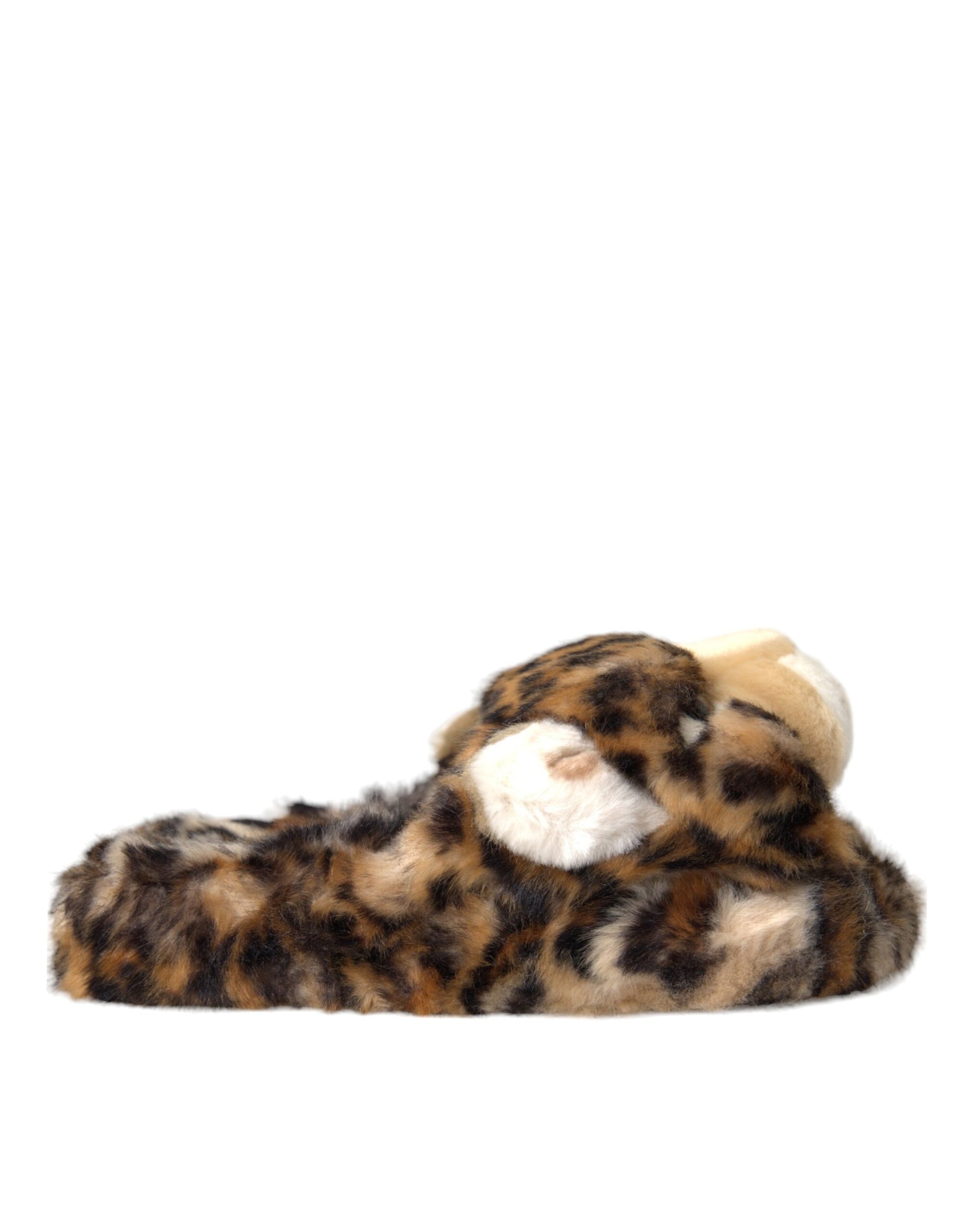 Dolce &amp; Gabbana Chaussons Tiger Marron Sandales Plates Chaussures