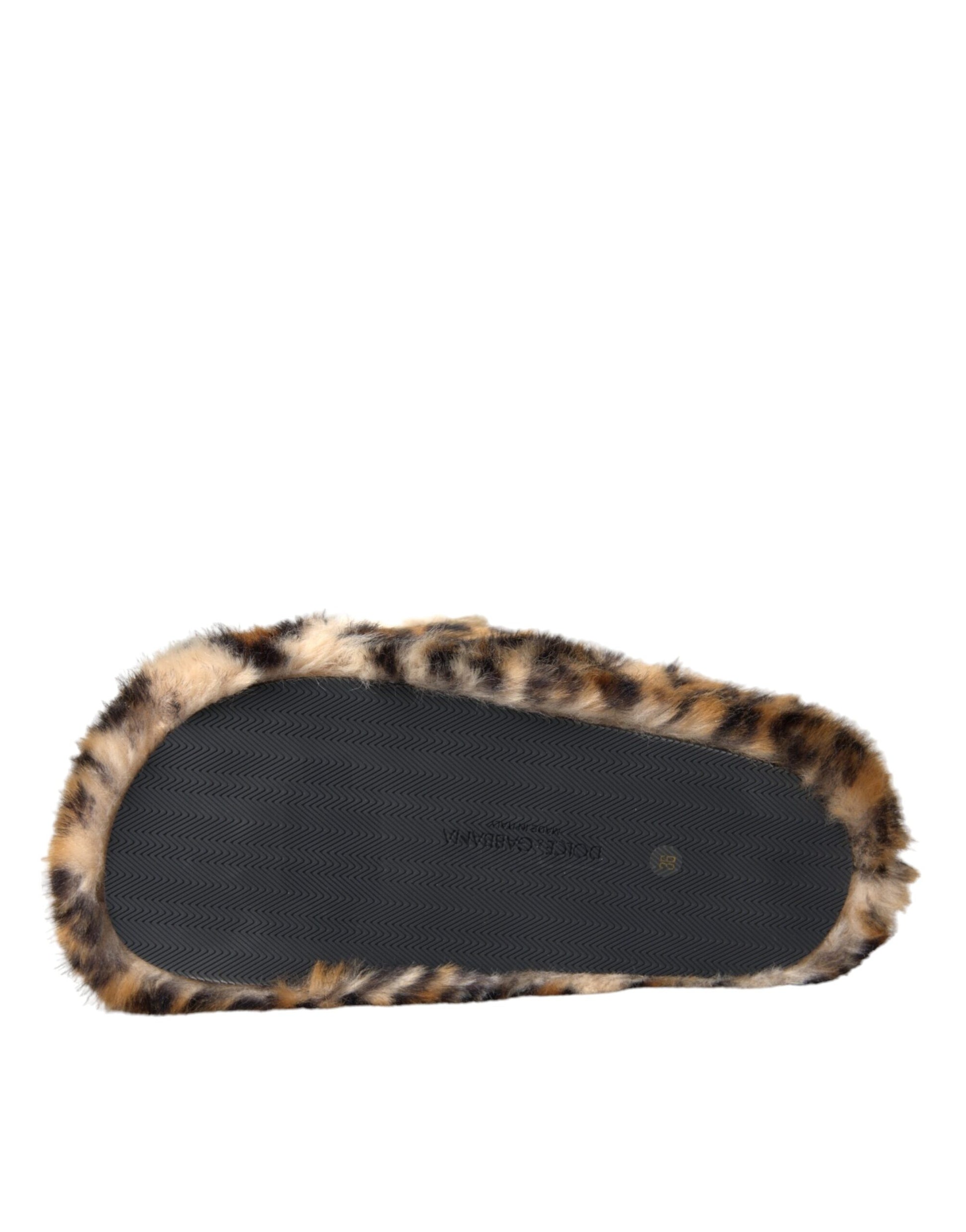 Dolce &amp; Gabbana Chaussons Tiger Marron Sandales Plates Chaussures