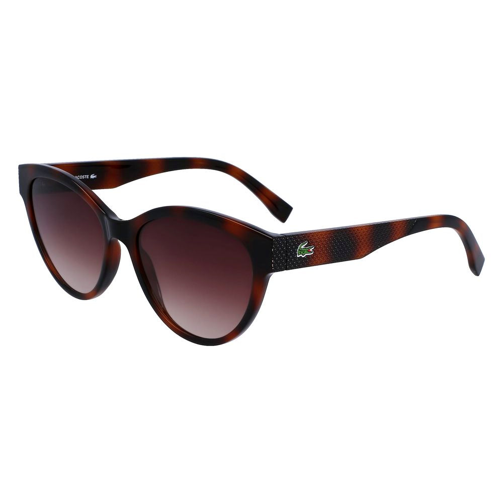 Lunettes de soleil Lacoste marron injectées