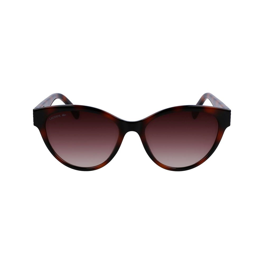 Lunettes de soleil Lacoste marron injectées
