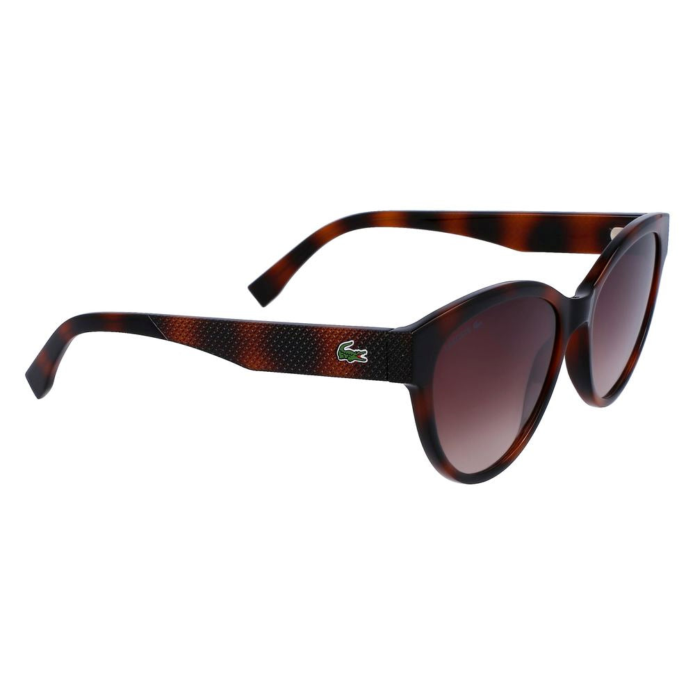 Lunettes de soleil Lacoste marron injectées