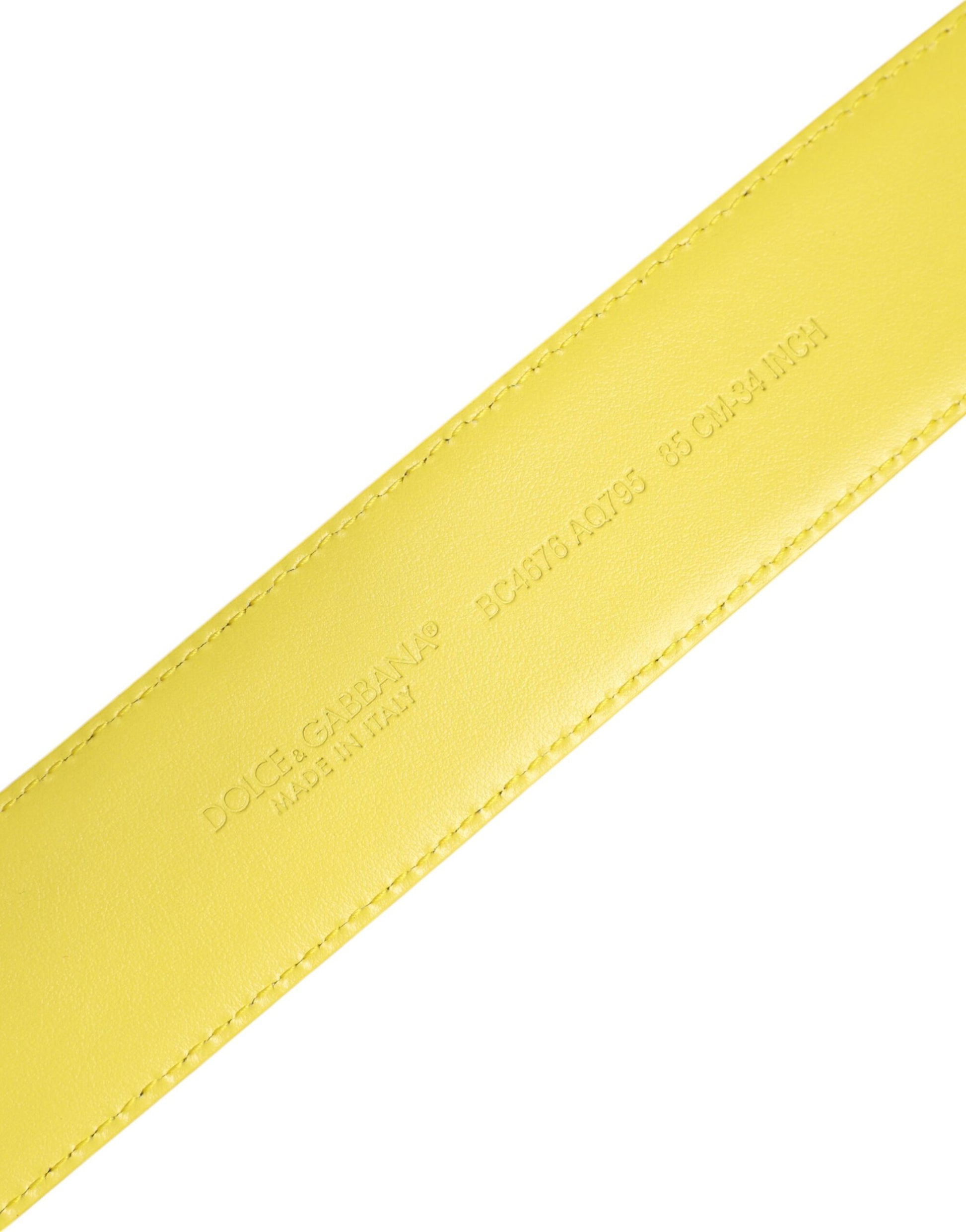 Ceinture classique à boucle en métal jaune et vert Dolce &amp; Gabbana