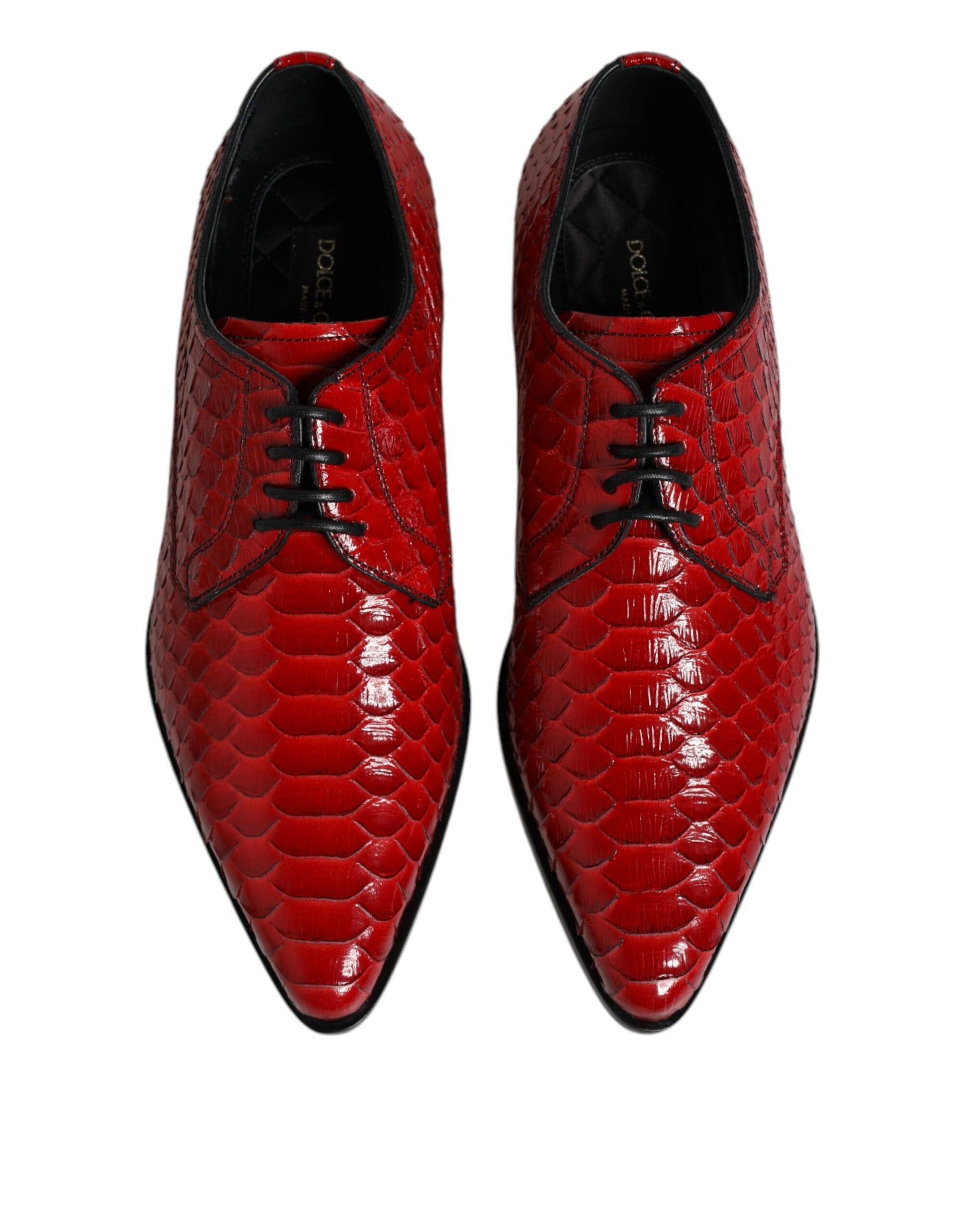 Chaussures Derby à lacets en cuir exotique rouge Dolce &amp; Gabbana