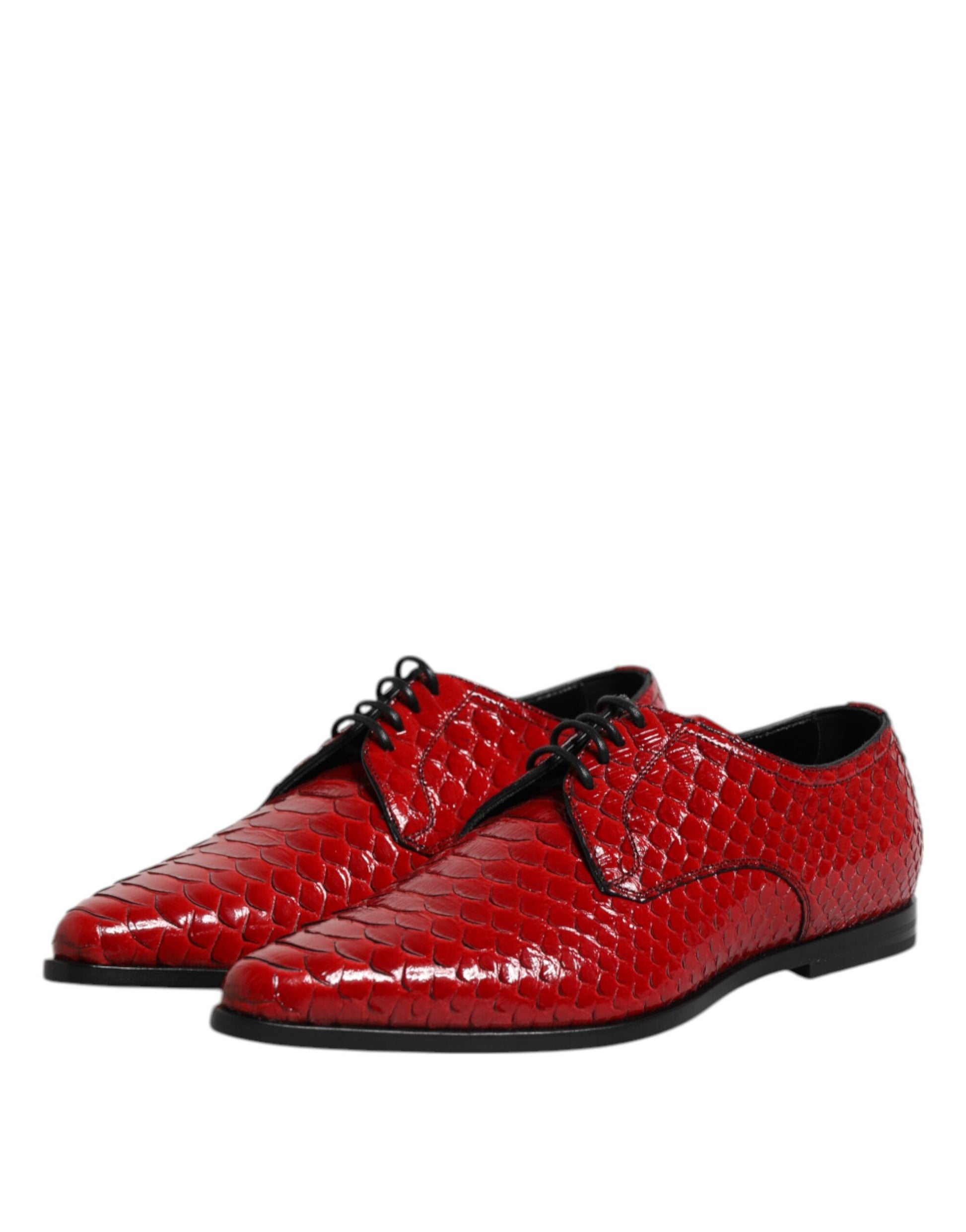 Chaussures Derby à lacets en cuir exotique rouge Dolce &amp; Gabbana