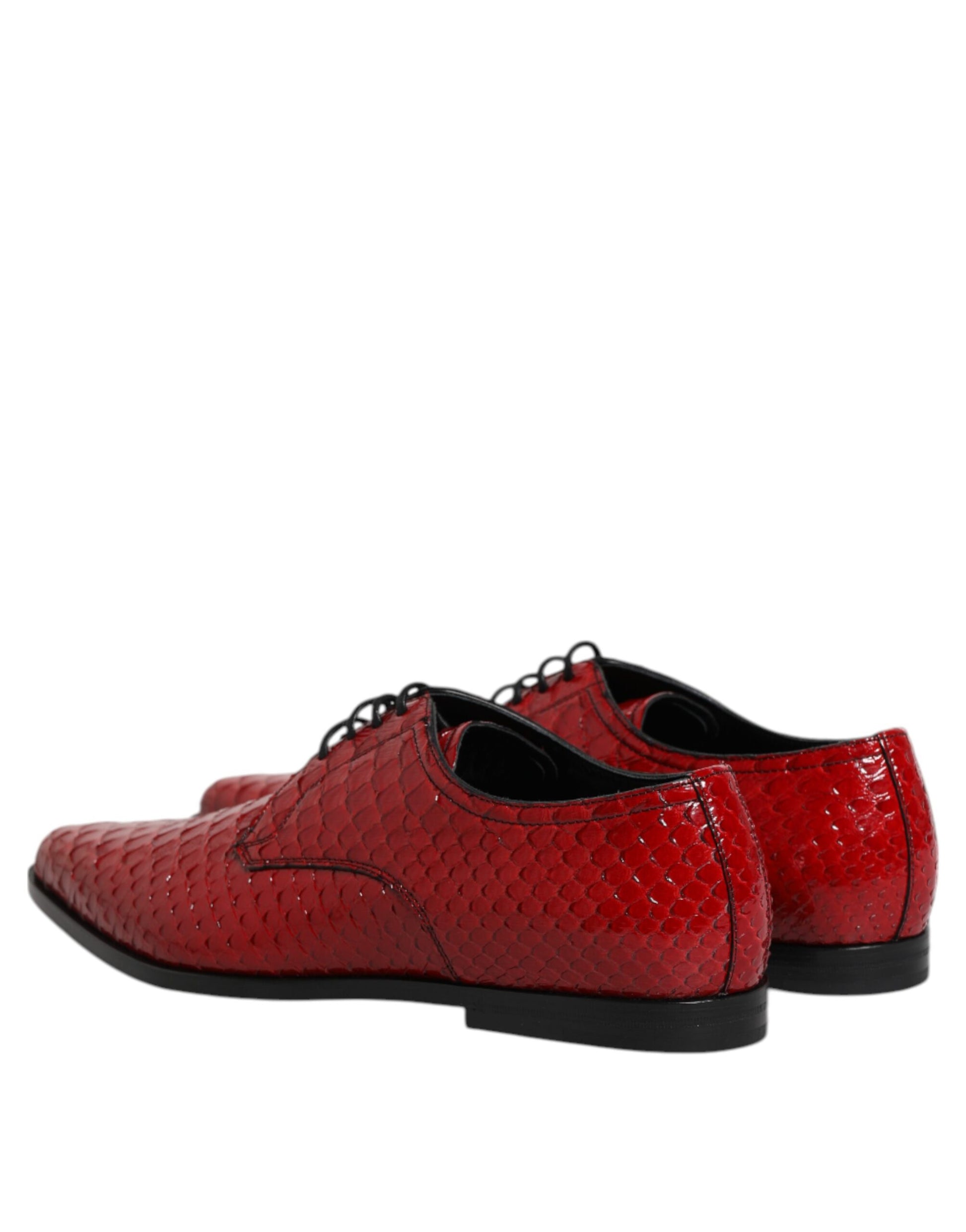 Chaussures Derby à lacets en cuir exotique rouge Dolce &amp; Gabbana