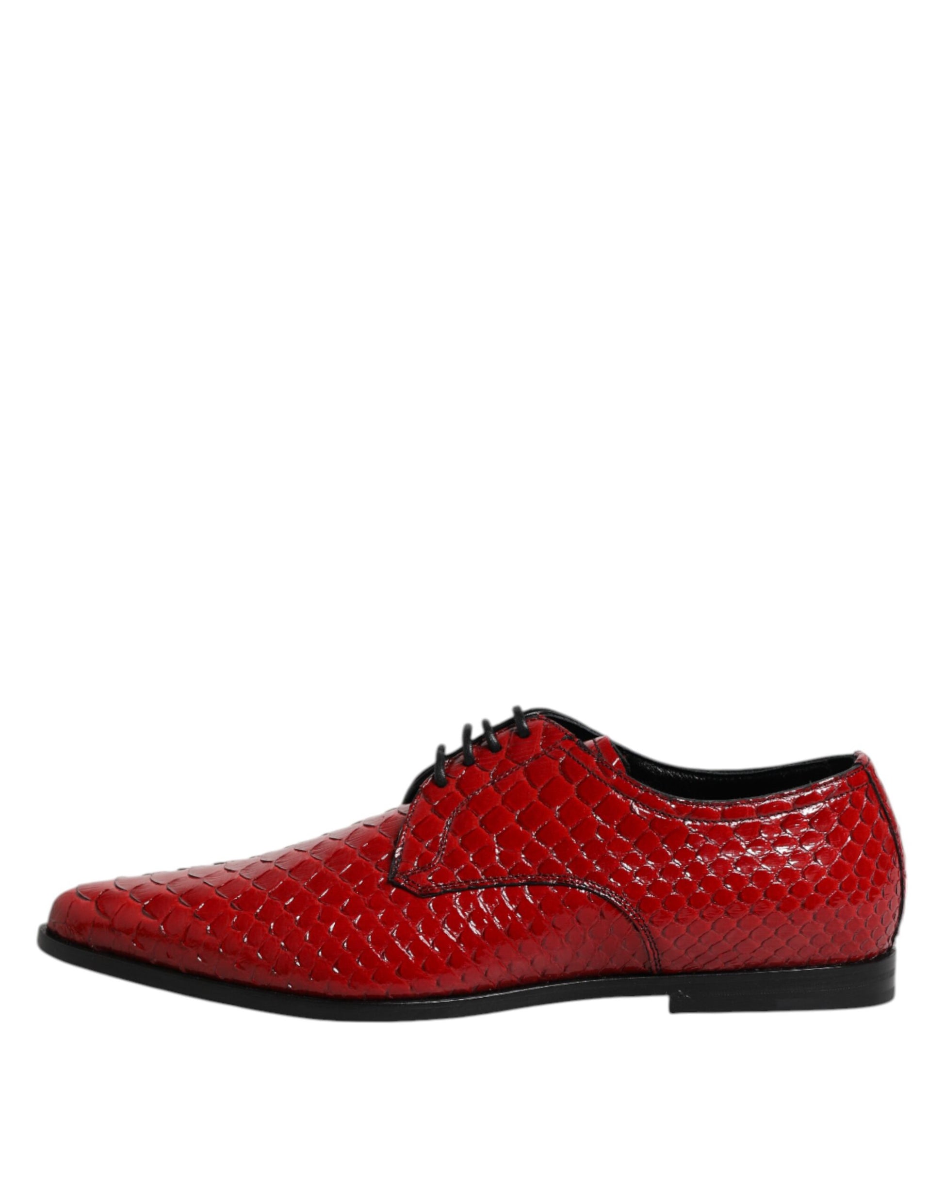 Chaussures Derby à lacets en cuir exotique rouge Dolce &amp; Gabbana