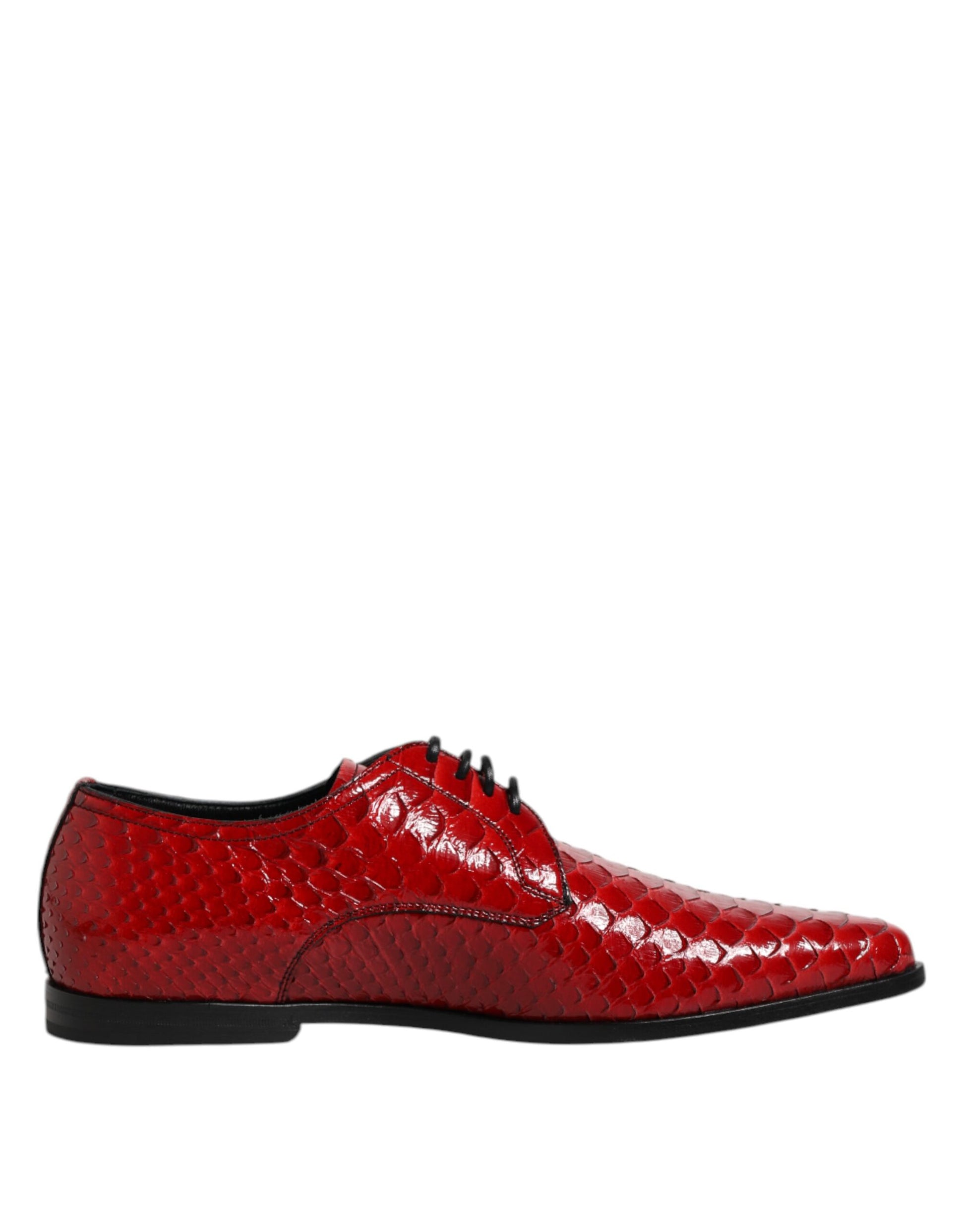 Chaussures Derby à lacets en cuir exotique rouge Dolce &amp; Gabbana