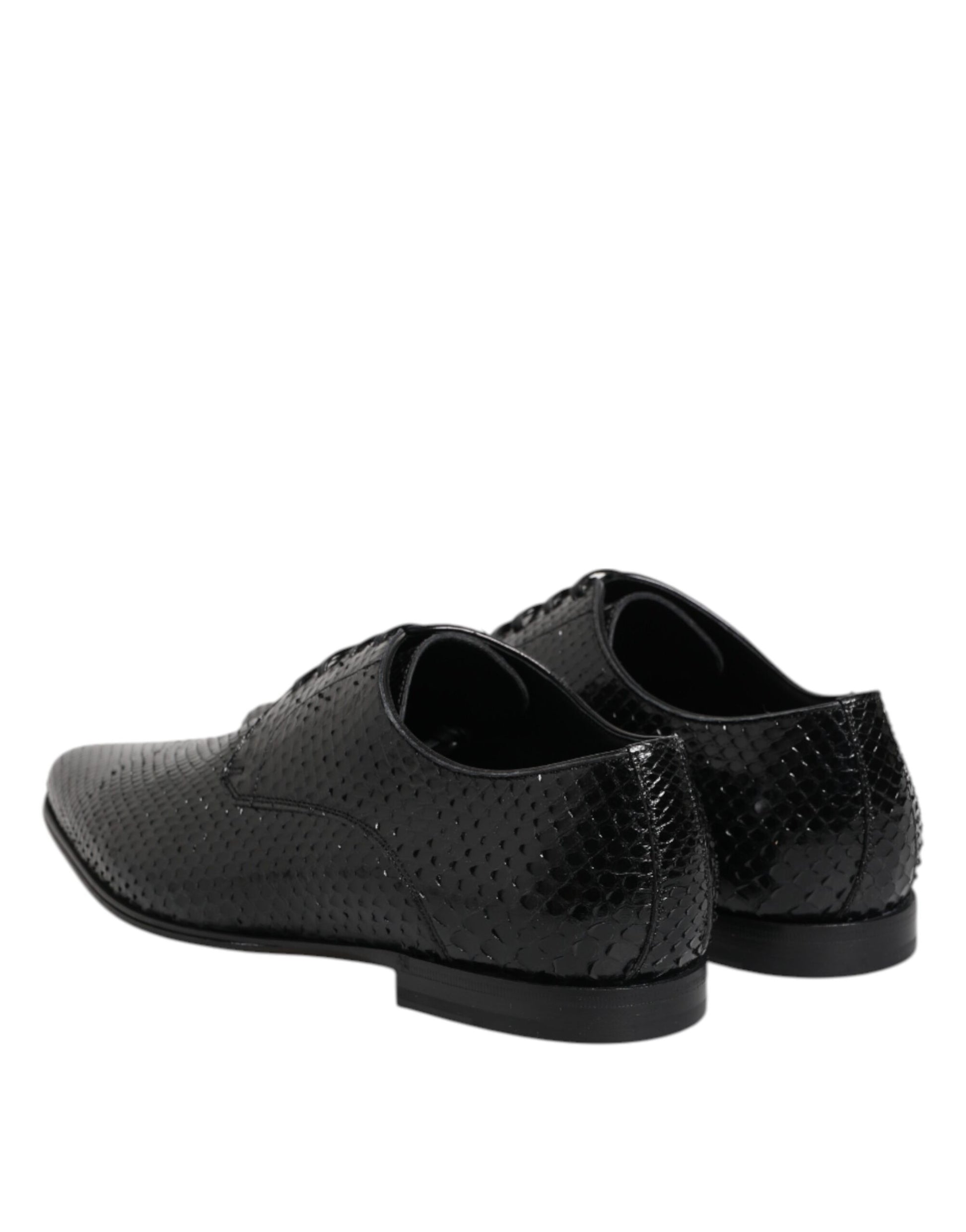 Chaussures Derby à lacets en cuir exotique noir Dolce &amp; Gabbana