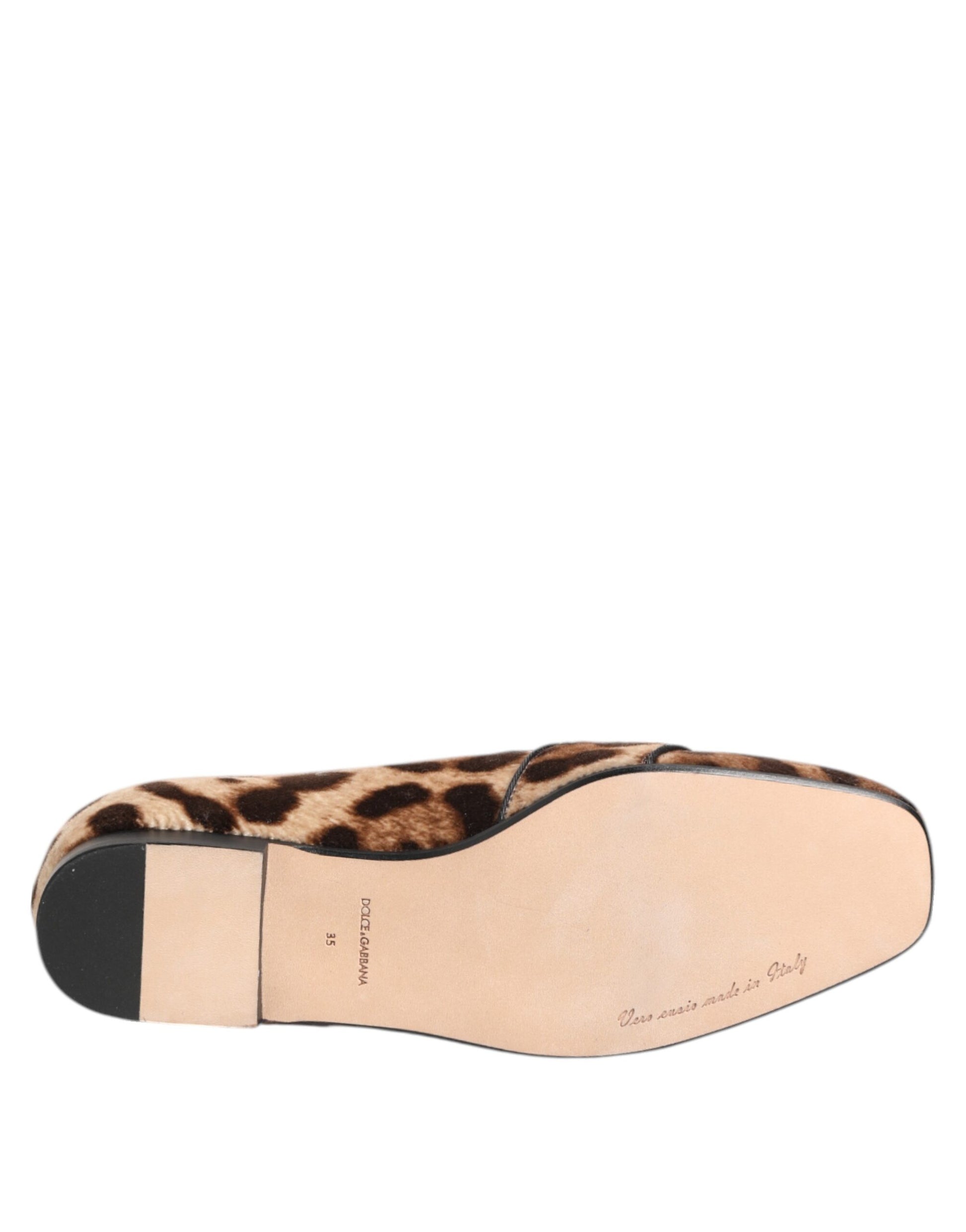 Mocassins plats Dolce &amp; Gabbana à imprimé léopard marron et cristaux